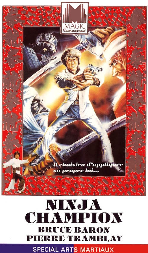 Flic ou Ninja