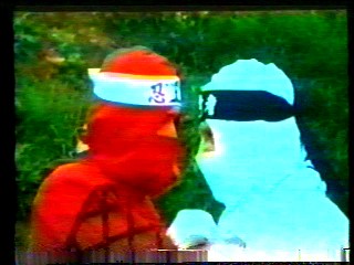 Flic ou Ninja