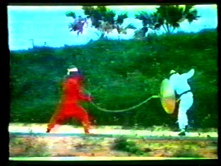 Flic ou Ninja