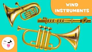 The top 10+ musical instruments wind instrument