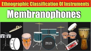 The best 14 classes of musical instruments